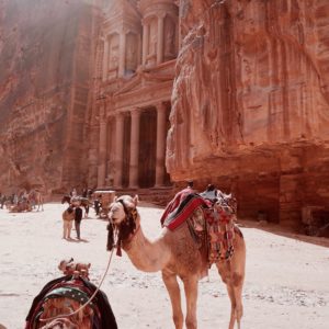 Petra and Camel