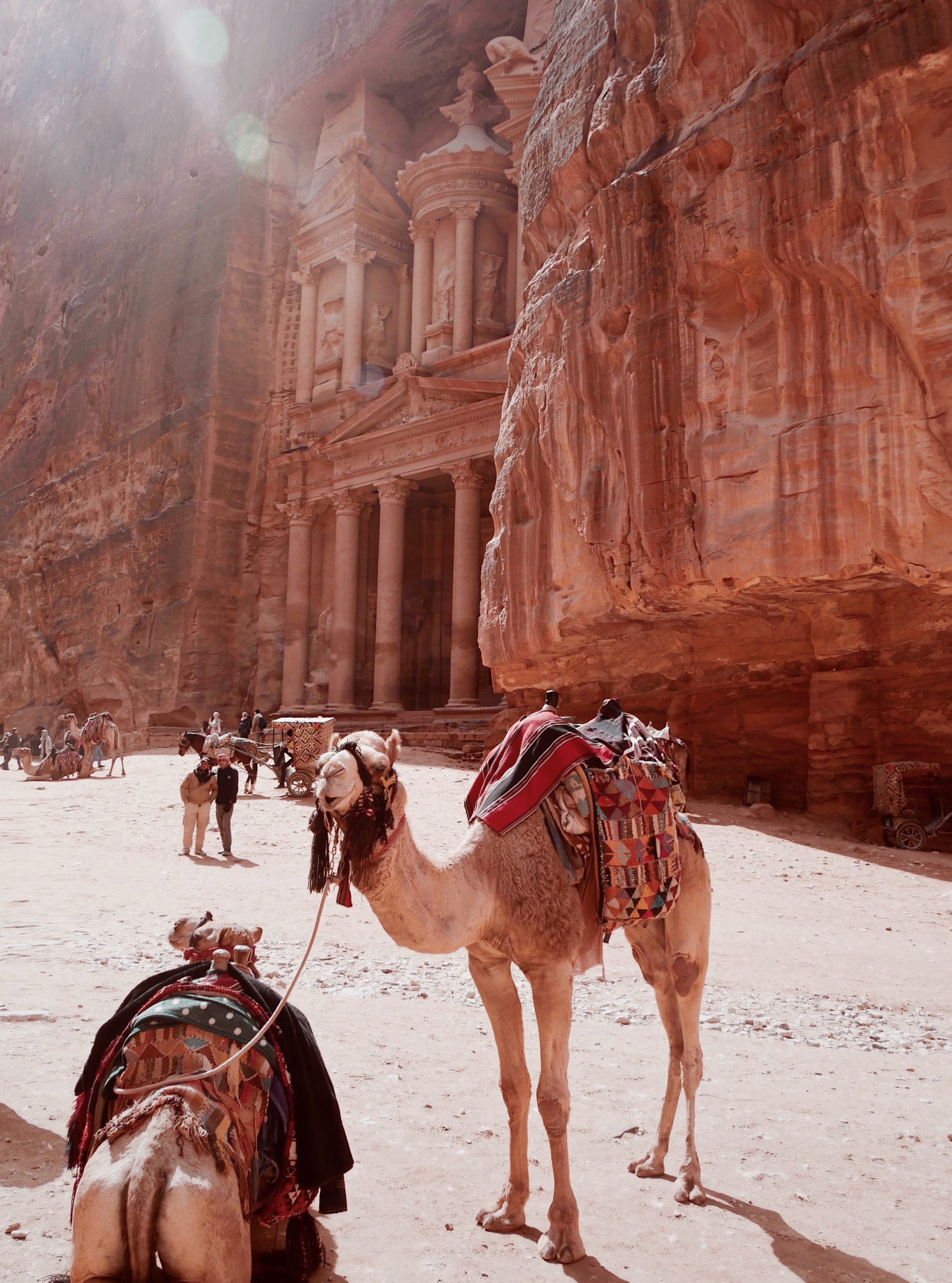 Petra and Camel